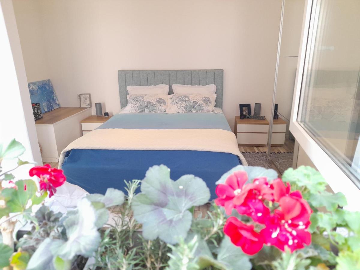 Nautica Free Parking Appartement Šibenik Buitenkant foto